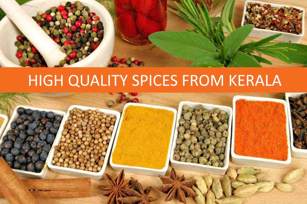 High quality spices from Kerala