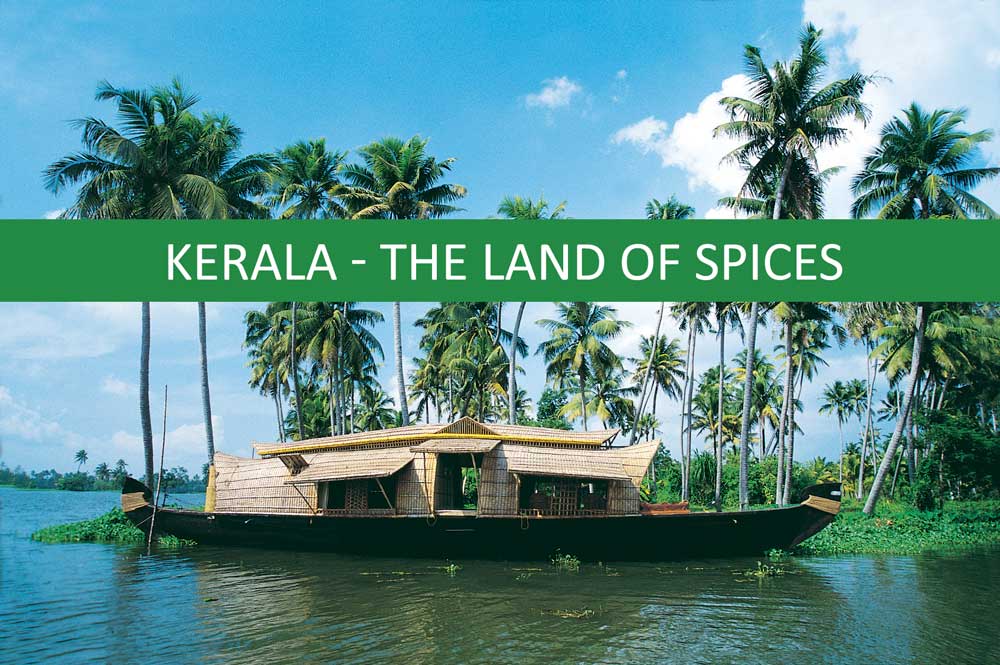 kerala the land of spices