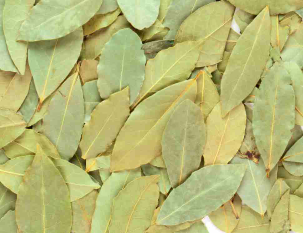 heath benefits of bay leaf
